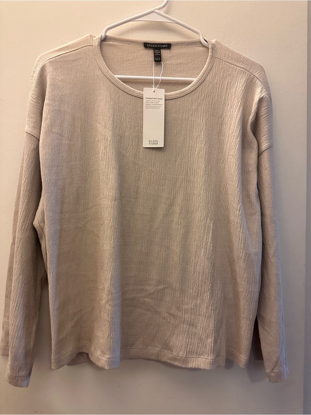 Eileen Fisher Relaxed Crewneck Sweater in Pale Beige Fall Soft